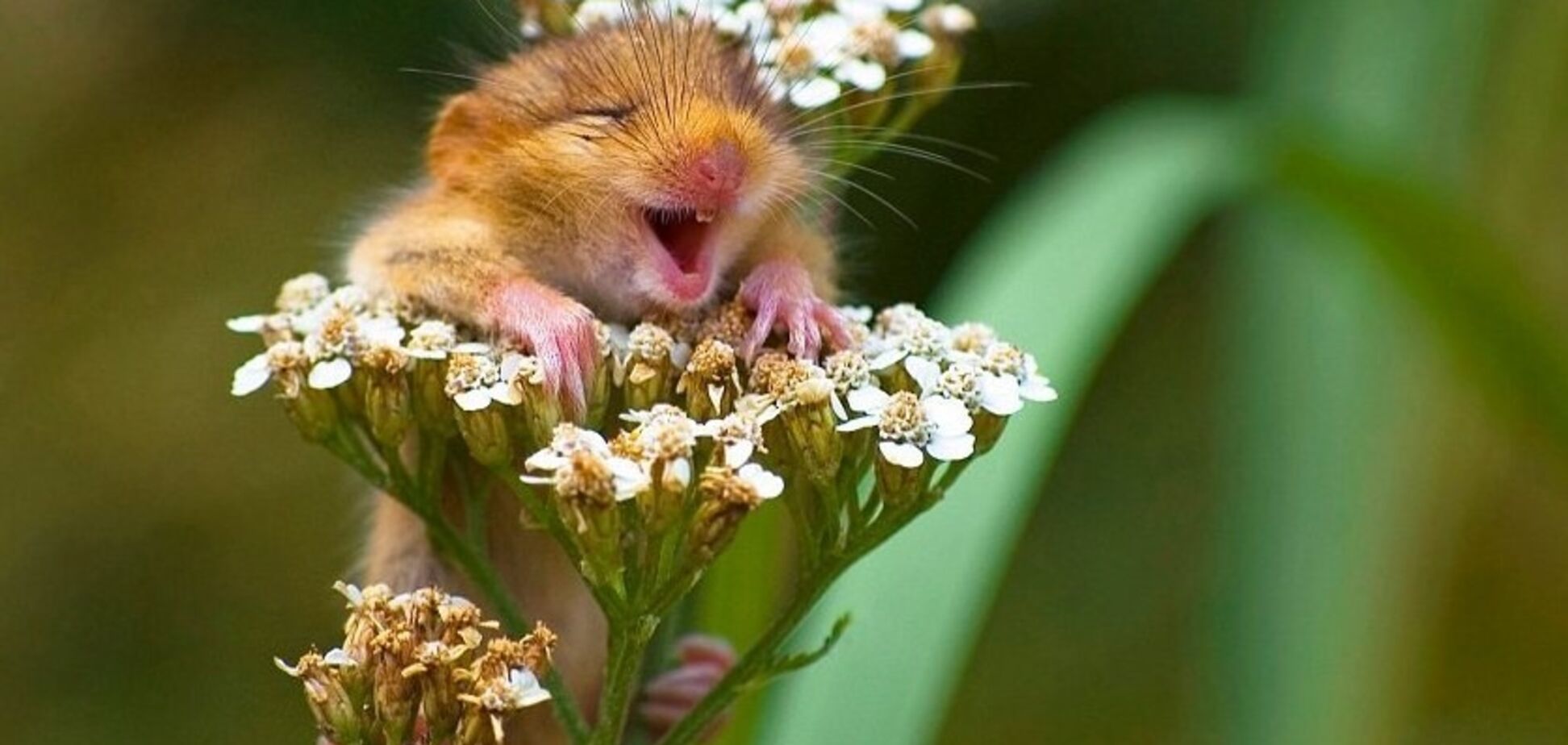 Будет еще теплее: синоптик уточнила прогноз погоды в Украине