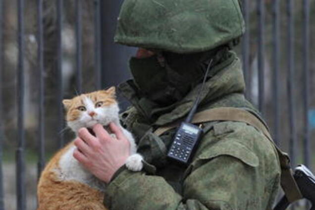 Згадали крадіжку Криму? У Росії випустили календар із 'ввічливими чоловічками' і котиками