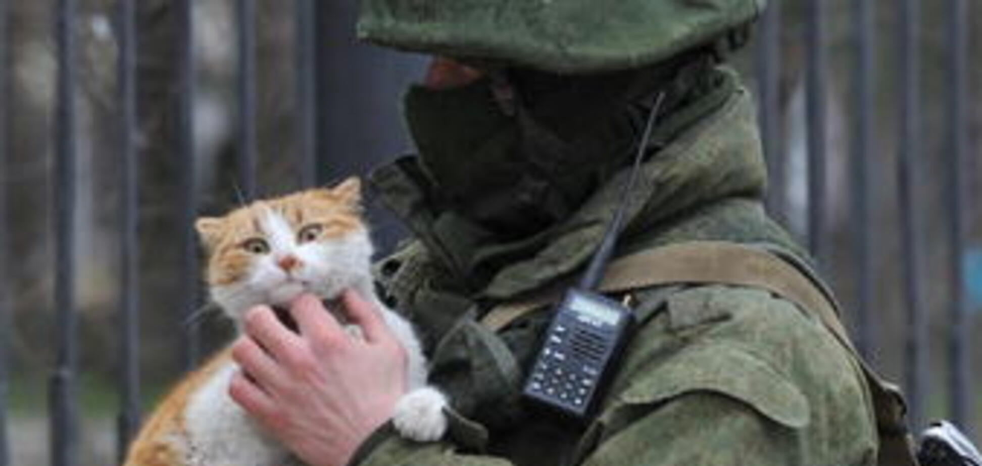 Вспомнили воровство Крыма? В России выпустили календарь с 'вежливыми человечками' и котиками