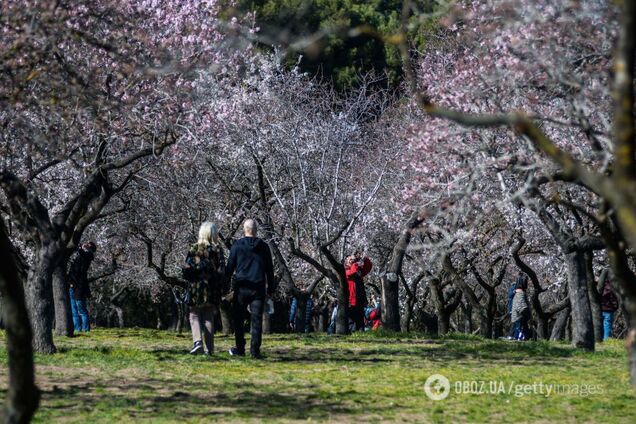 Украину разогреет до +16: синоптики дали теплый прогноз погоды