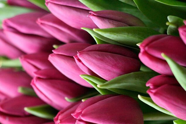 Я тобі сніданок, а ти мені секс...