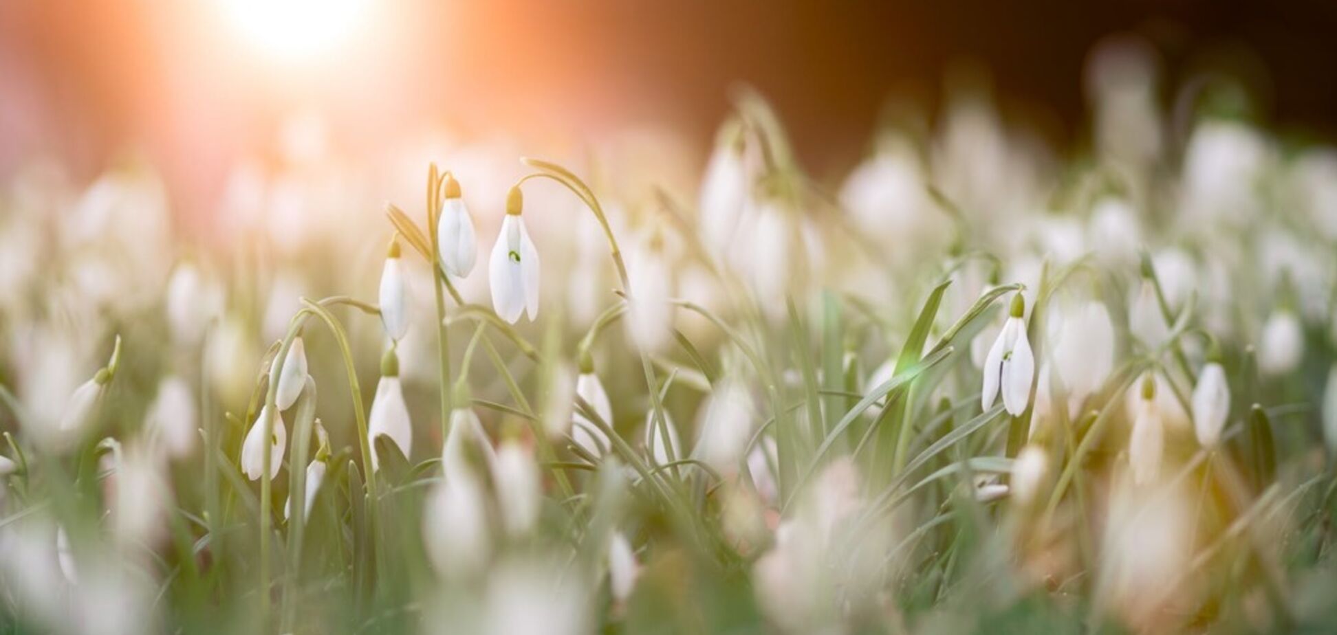 До +19! Синоптики уточнили прогноз погоды в Украине