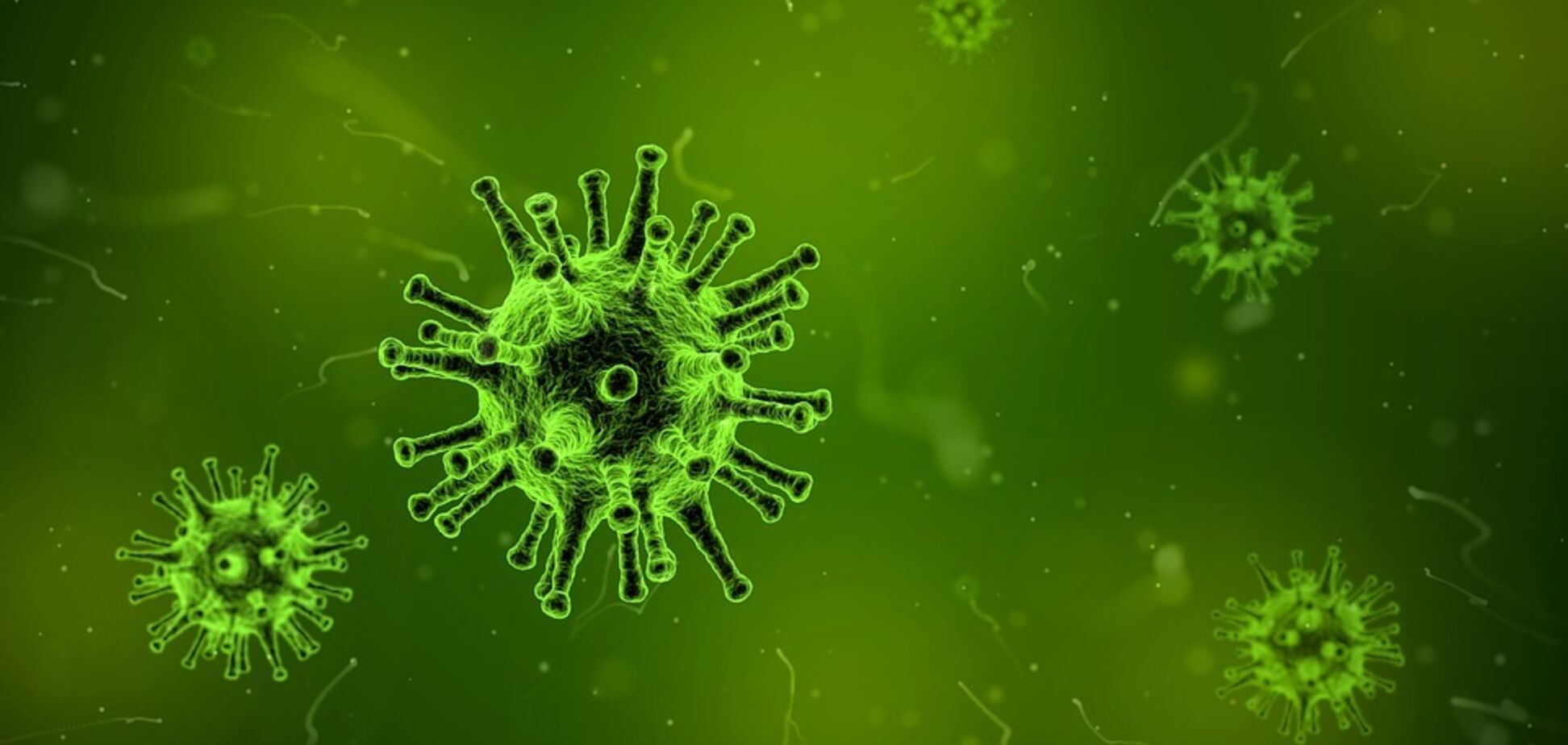 Вирус гриппа будут атаковать в 'точке сбора': что открыли ученые