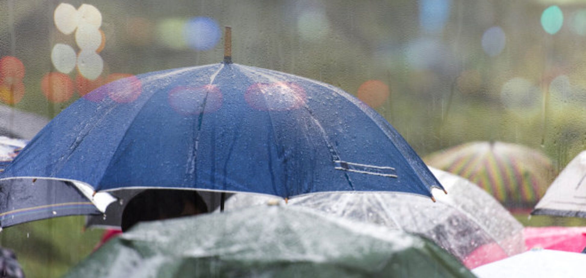 Идут дожди и грозы: синоптик дала прогноз на выходные по Украине