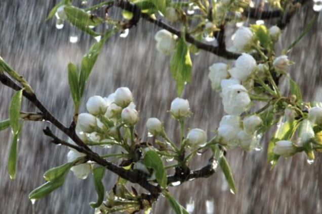 Зальет дождями с грозами: в Украине на Пасху резко ухудшится погода