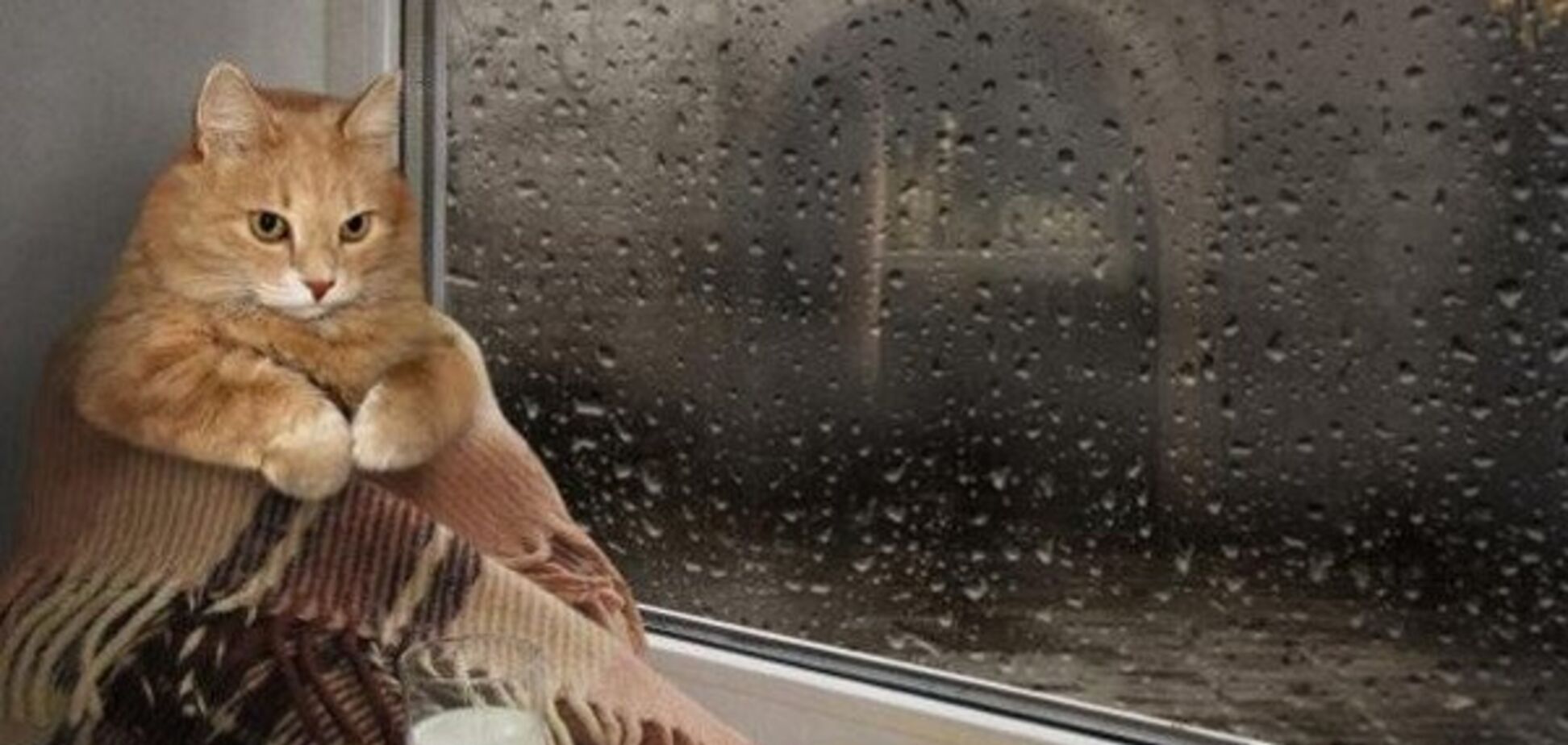 Дожди и похолодание: синоптики уточнили прогноз погоды по Украине