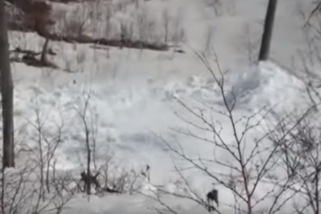  Снег "взорвался": уникальное явление в России попало на видео