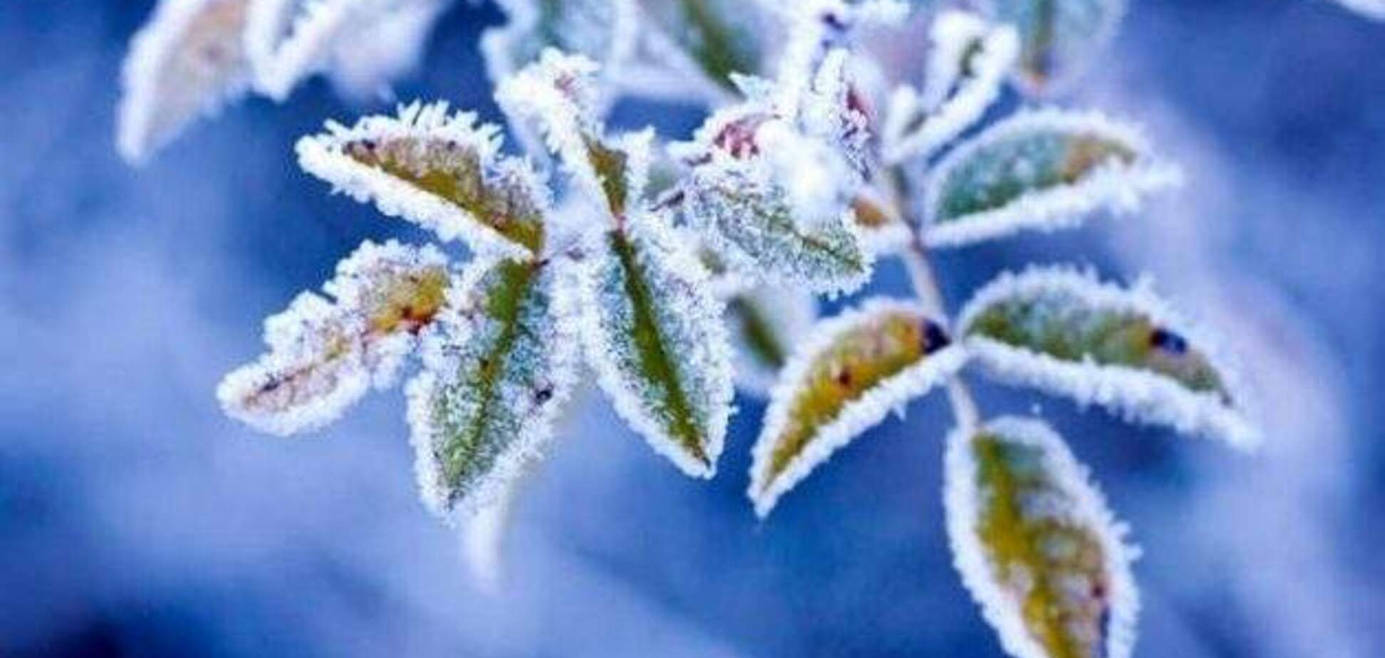 Заморозить і заллє: синоптики уточнили холодний прогноз по Україні