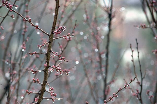 Зальет дождями: синоптик уточнила холодный прогноз по Украине