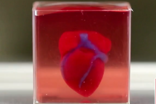   Ученые впервые напечатали живое сердце на 3D-принтере. Реальное видео