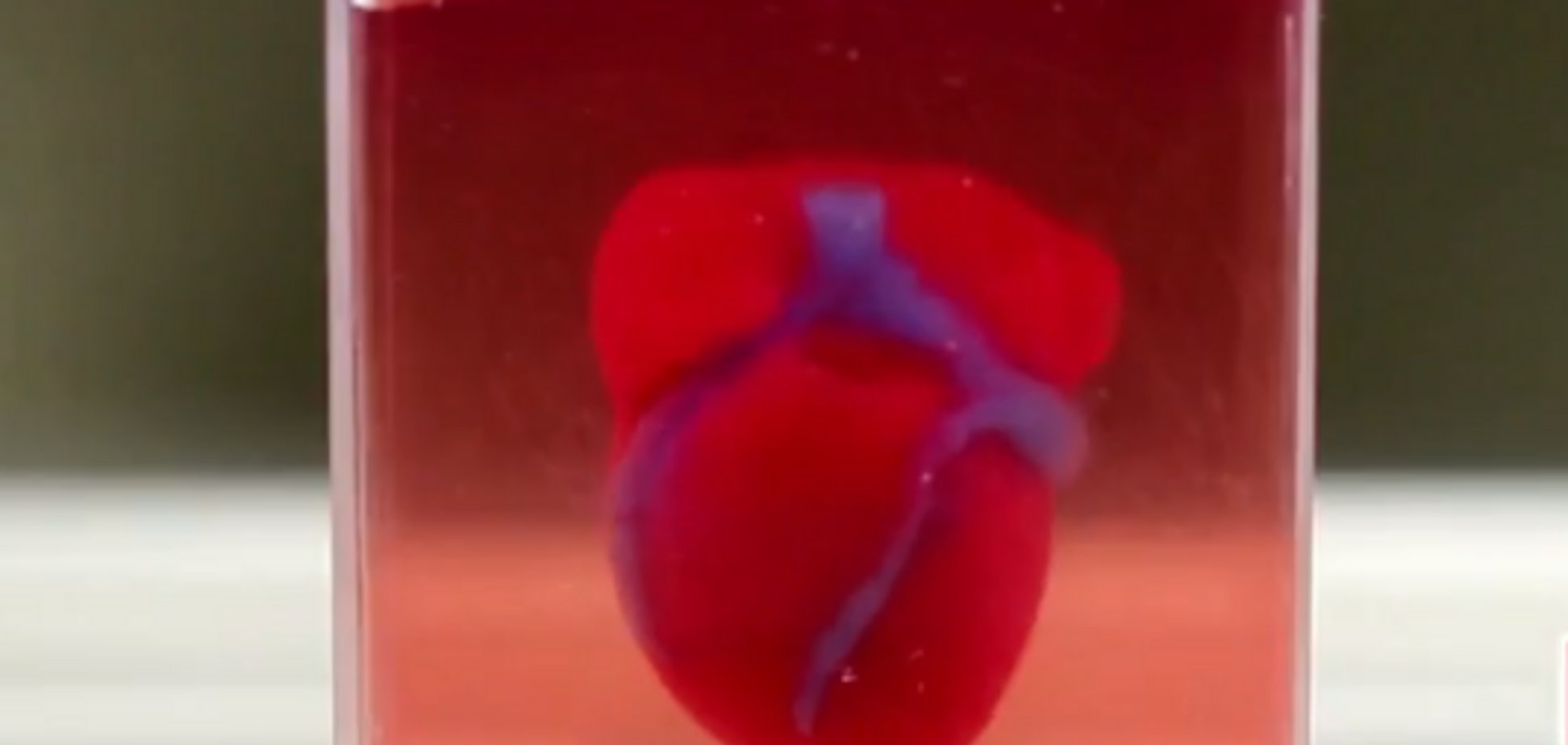   Ученые впервые напечатали живое сердце на 3D-принтере. Реальное видео