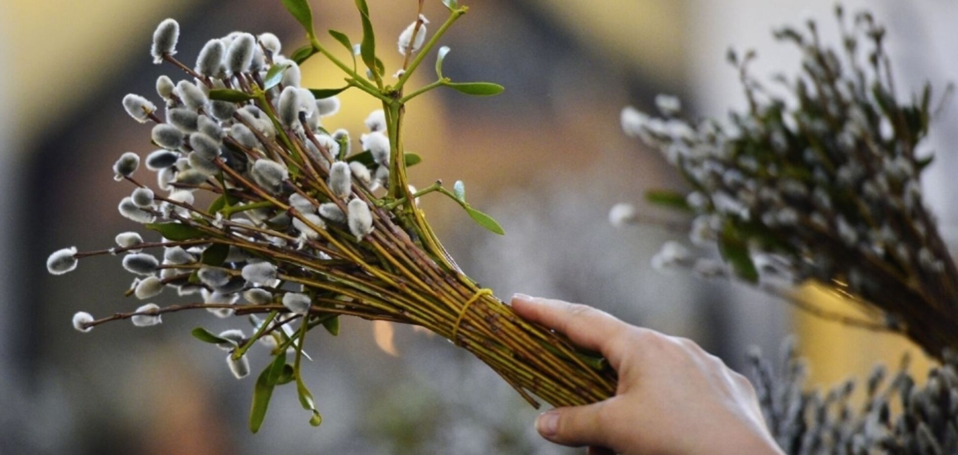 Вербное воскресенье 2019: лучшие поздравления и открытки