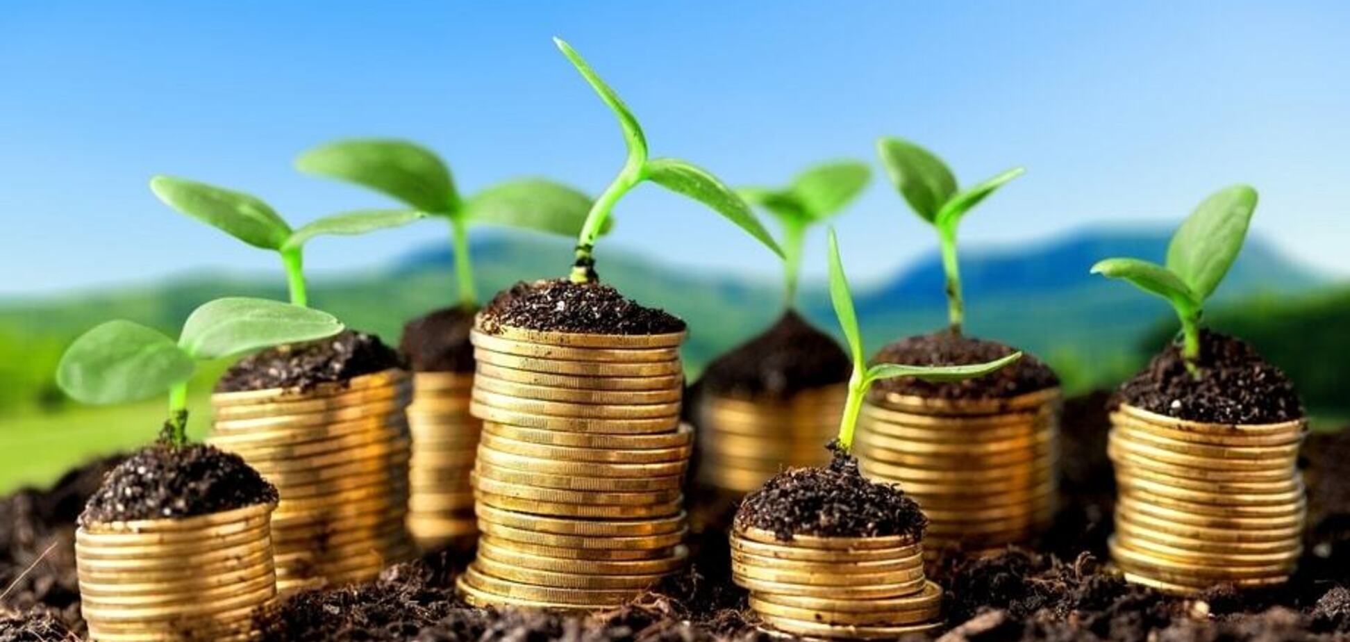 Топ-5 Telegram-каналів про фінанси