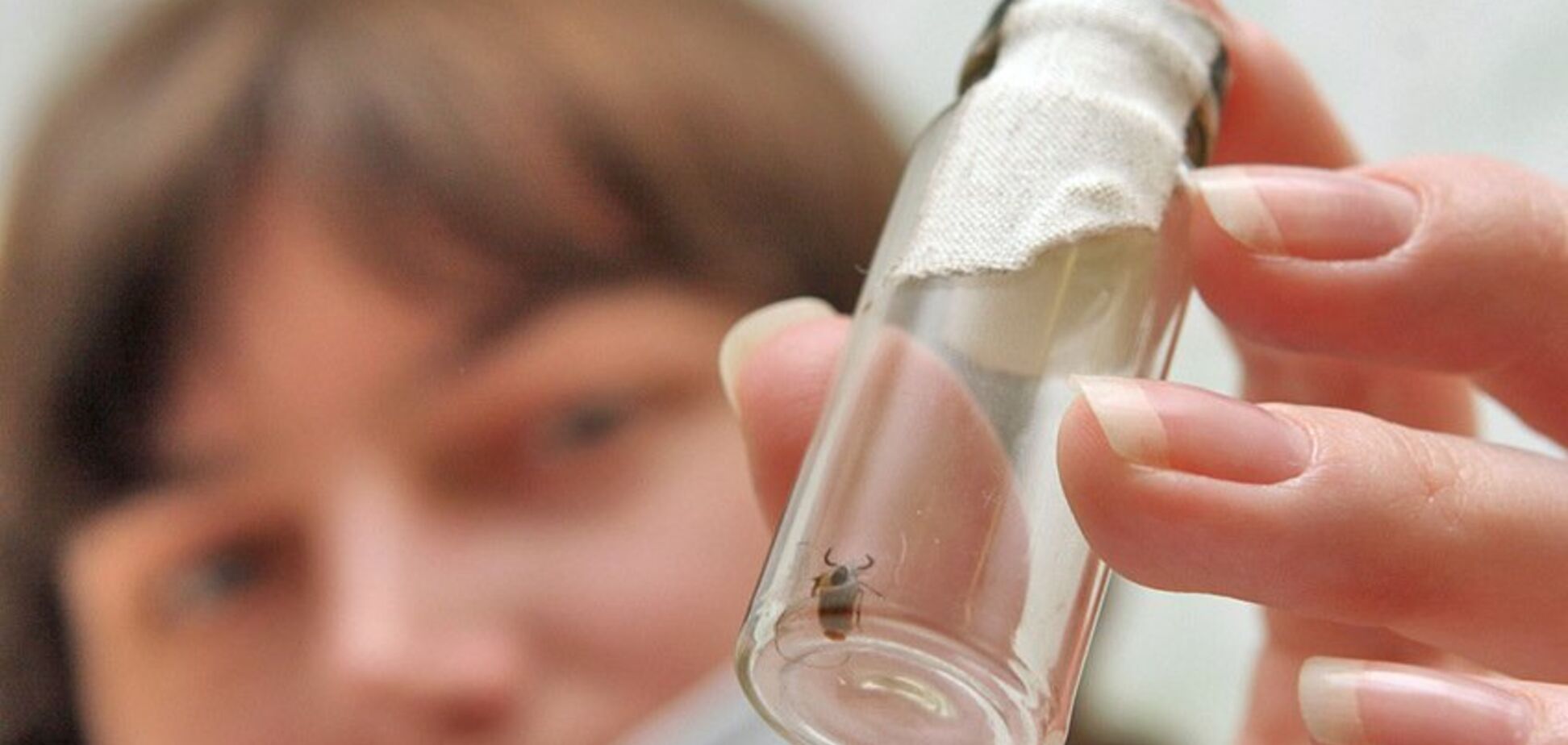 Клещи: опасность которая рядом!