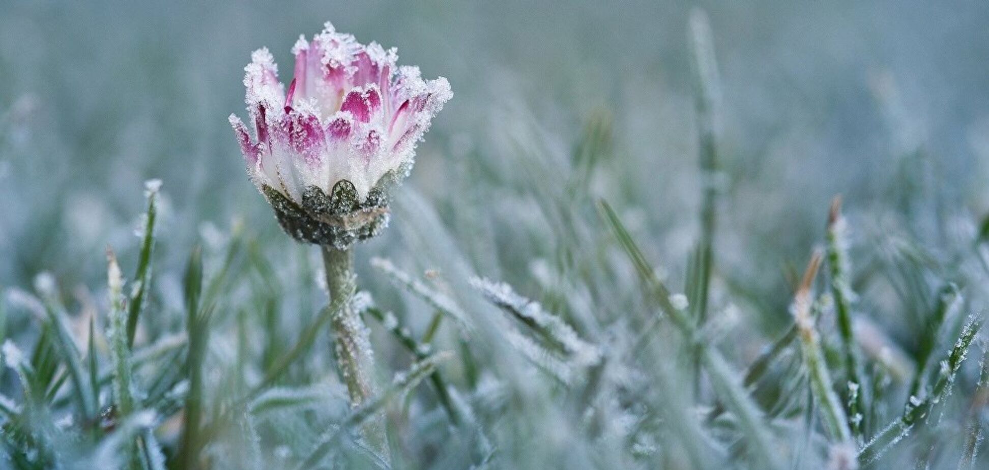 Заморозки и грозы: синоптики уточнили прогноз на выходные по Украине