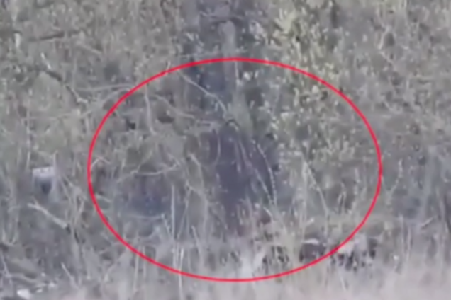 'Нефиг шастать!' Украинские снайперы устроили ад на Донбассе. Видеофакт