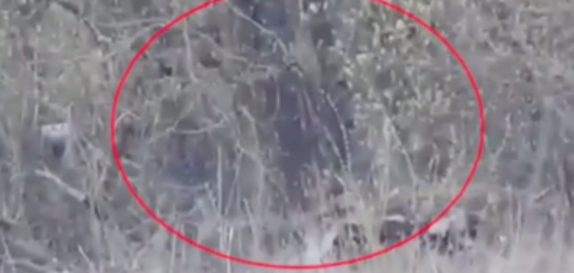  'Нефиг шастать!' Украинские снайперы устроили ад на Донбассе. Видеофакт