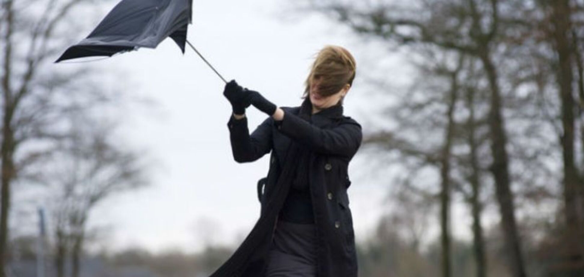 До -5 и шквалы: синоптики дали ветреный прогноз по Украине