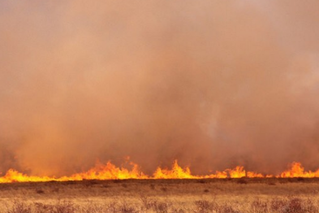 Десятки згоріли заживо: частину Росії охопила пекельна пожежа. Фото і відео стихії