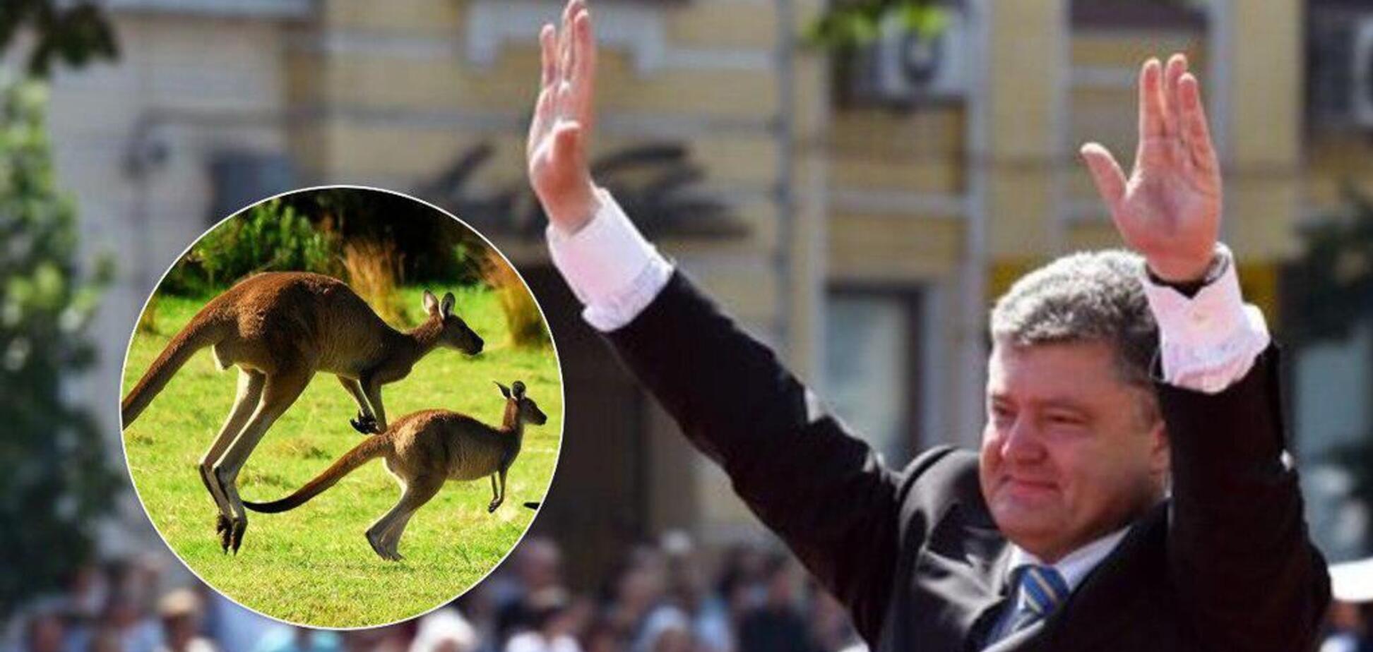 Порошенко победил: озвучены результаты выборов на первом зарубежном участке