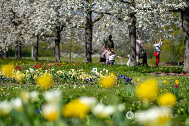 В Україну йде нова хвиля похолодання: синоптики дали невтішний прогноз