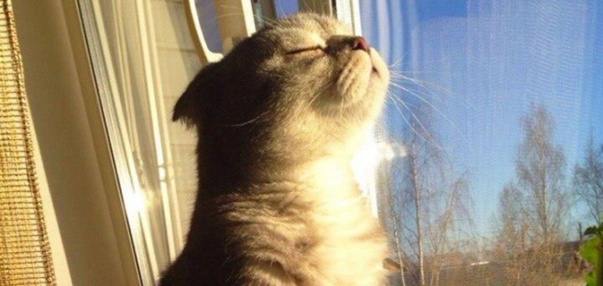 Много солнца и +22: синоптик обрадовала 'летним' прогнозом по Украине