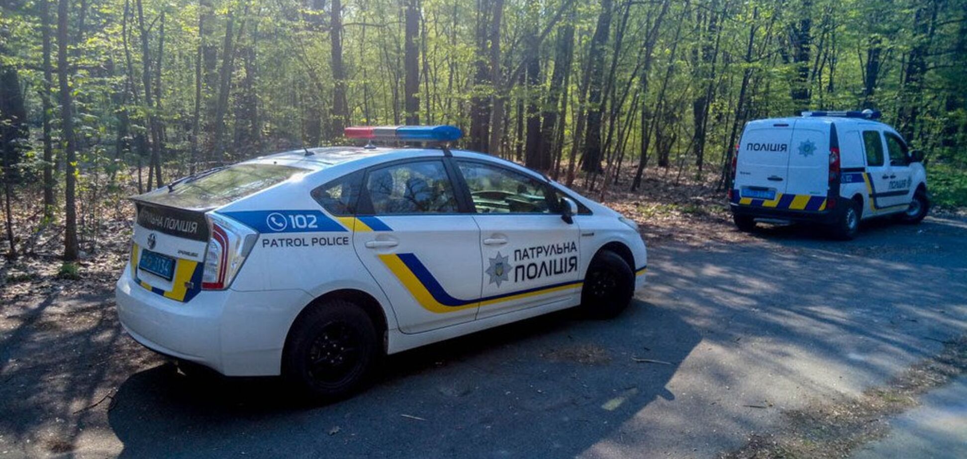 В Киеве на территории парка повесился парень: первые подробности