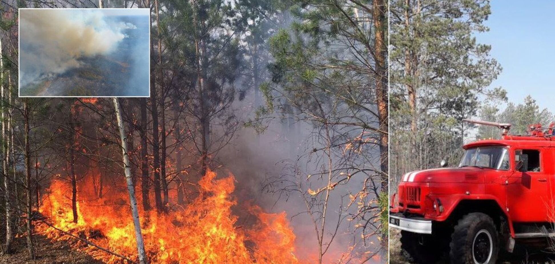 Масштабна пожежа з Білорусі перекинулася на територію України: всі подробиці, фото і відео