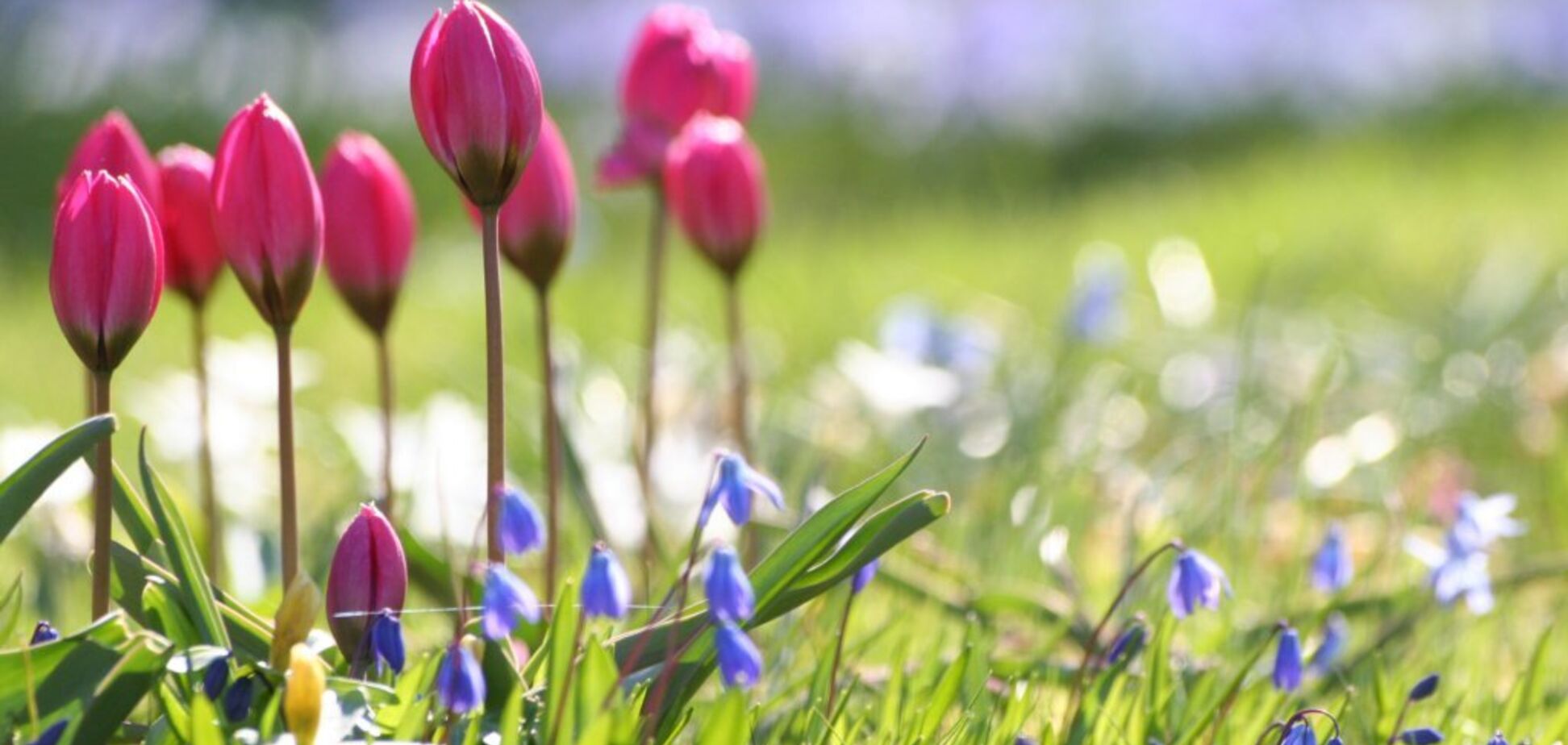 Ворвется жара: синоптики уточнили прогноз по Украине