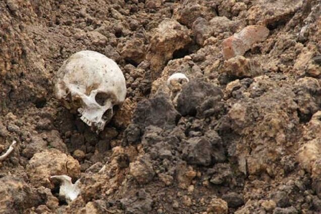 У Харкові знайшли людський череп: що відомо