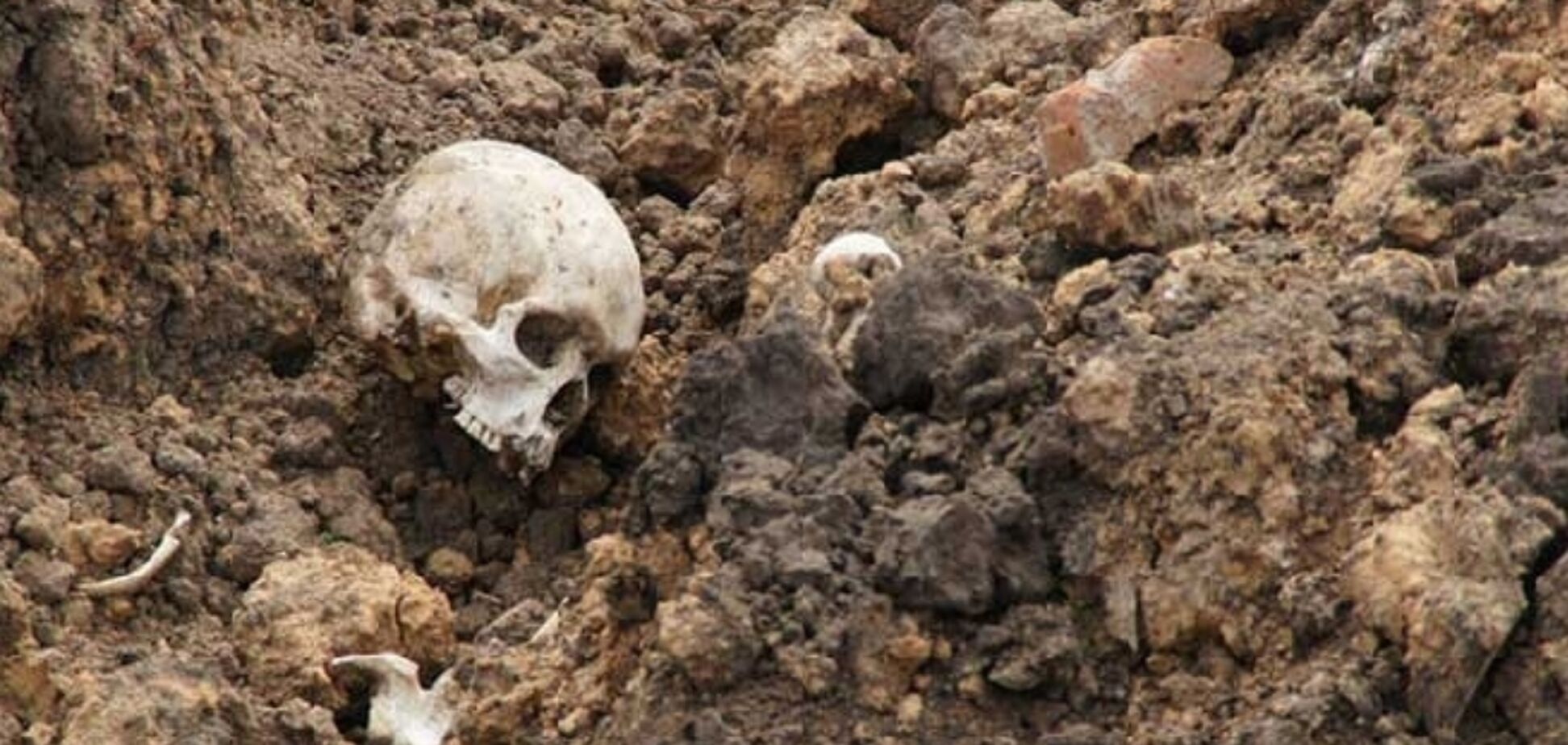 В Харькове нашли человеческий череп: что известно 