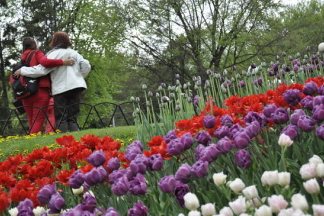 Выходные в мае: сколько будут отдыхать украинцы