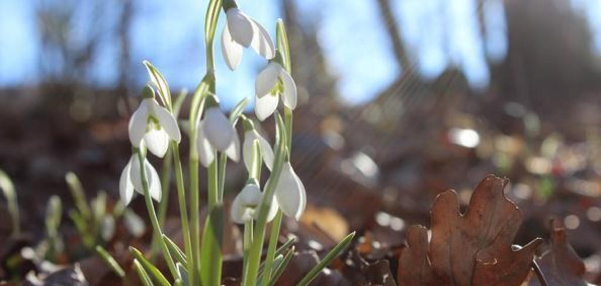 'Дощі з грозами': синоптик уточнила погоду на Великдень