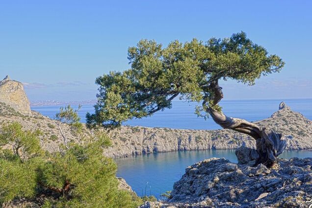 Единственный козырь Украины в будущем Крыма