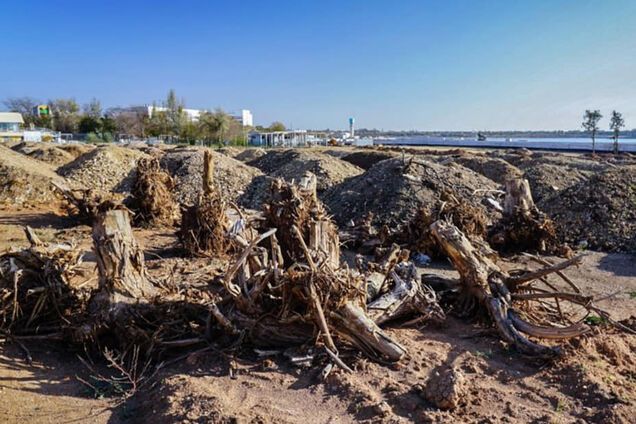 Крым настигло новое экологическое бедствие