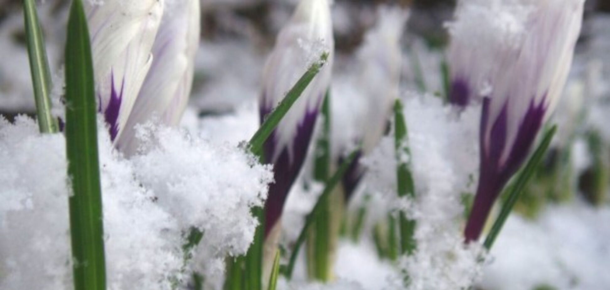 От -4 до +15: синоптики пообещали существенную перемену погоды в Украине