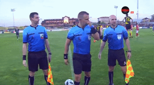 В Венгрии арбитр заставил футболистов стукнуться яйцами перед матчем - видеофакт