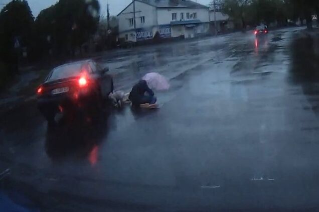 У Луцьку водій збив на переході чоловіка з дитиною і зник: момент потрапив на відео