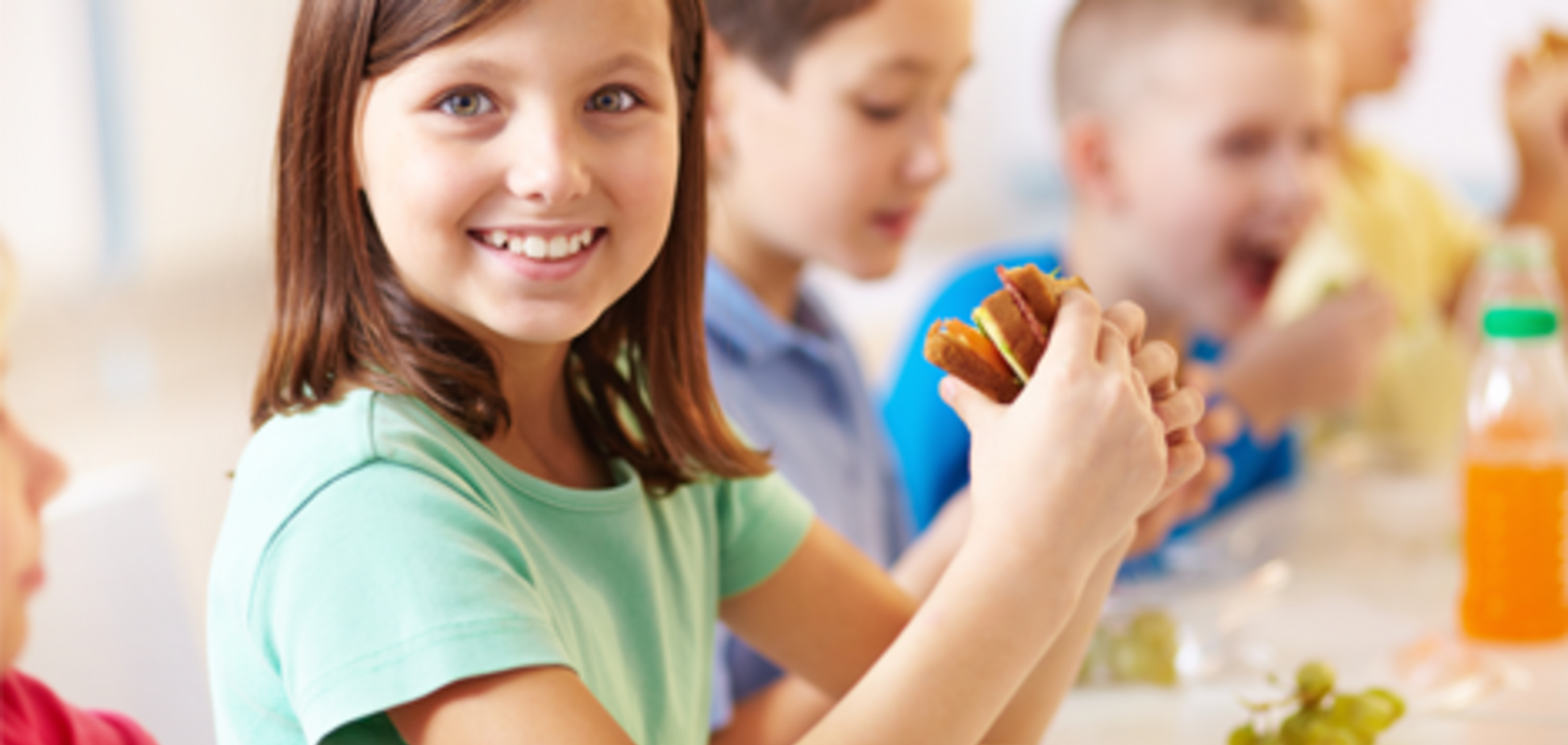 Опубликован сборник нового школьного питания, что дальше?