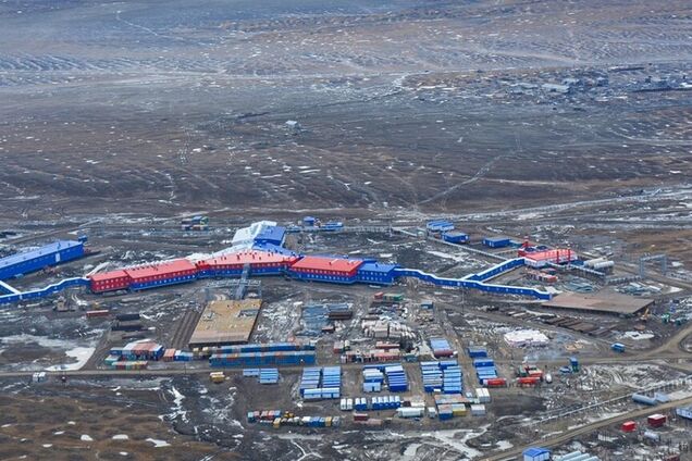 Северный клевер