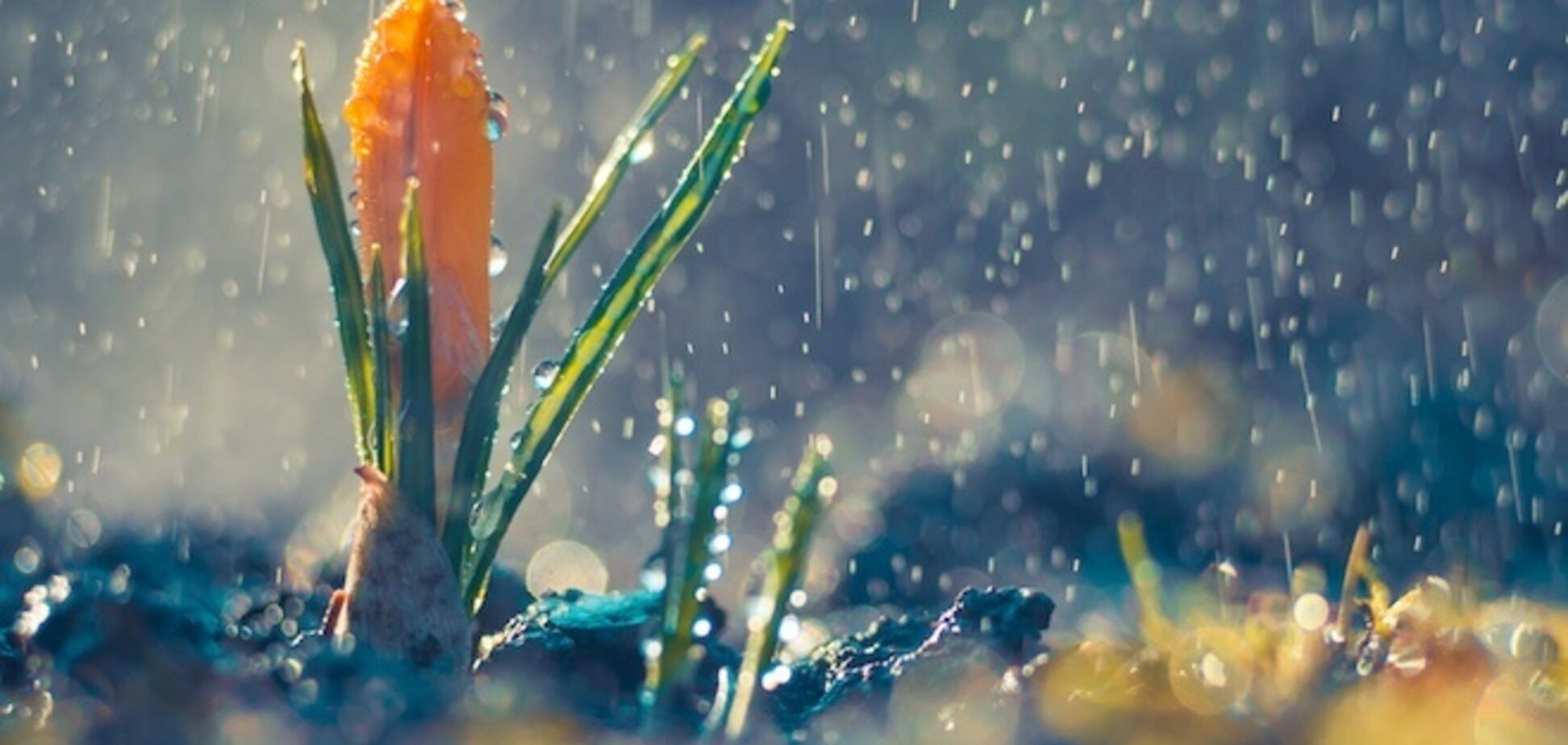 Украину зальют дожди: синоптик уточнила прогноз погоды на выборы