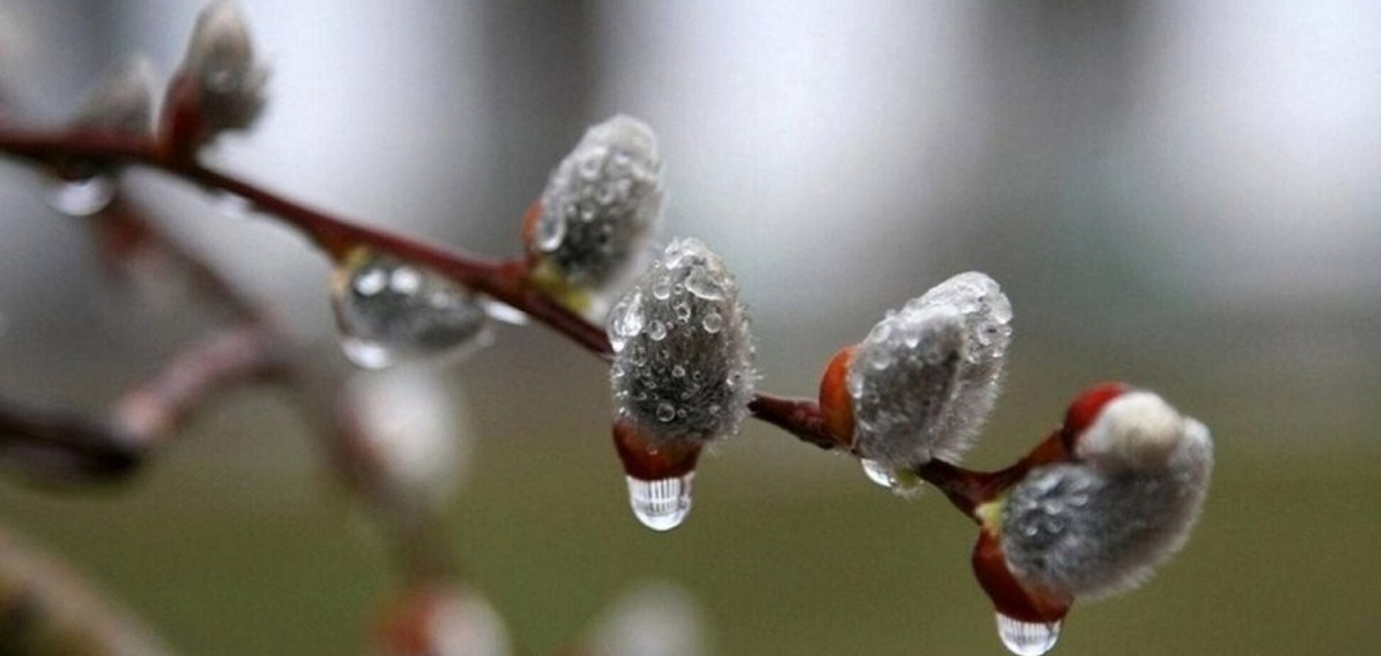 В Украину идут дожди и грозы: прогноз погоды на неделю