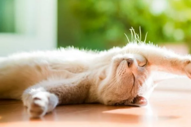 Погода в Киеве: синоптики назвали дату потепления и прекращения дождей