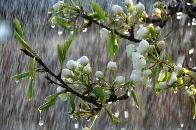 Україну накриє дощовий фронт: синоптик дала прогноз