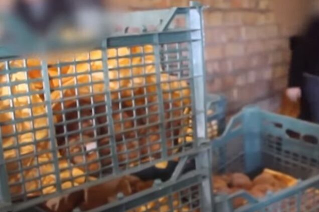 'Могу купить всю Македонию!' Выяснились детали о рекордном складе героина под Киевом