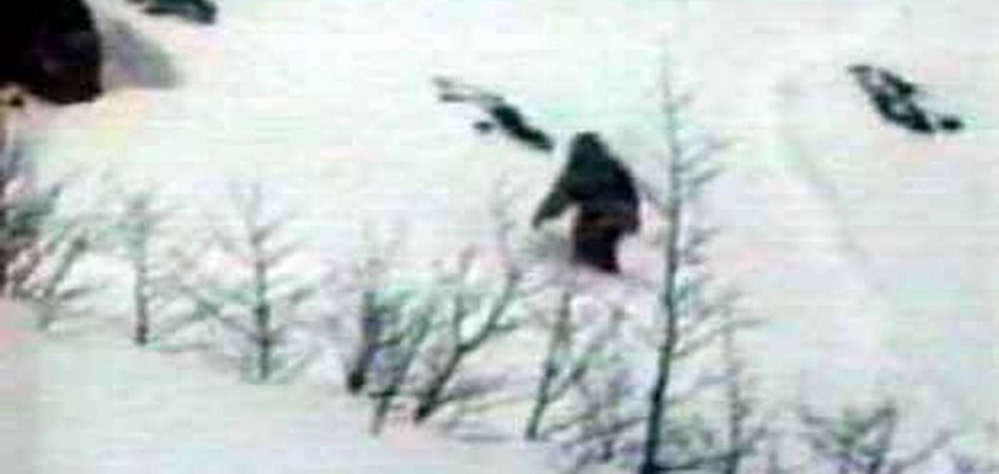 Снігова людина? В Індії знайдено величезні сліди невідомої істоти. Фотофакт