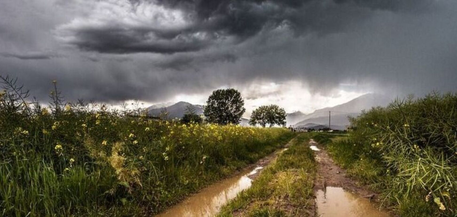 Заллє дощами: синоптики уточнили похмурий прогноз по Україні