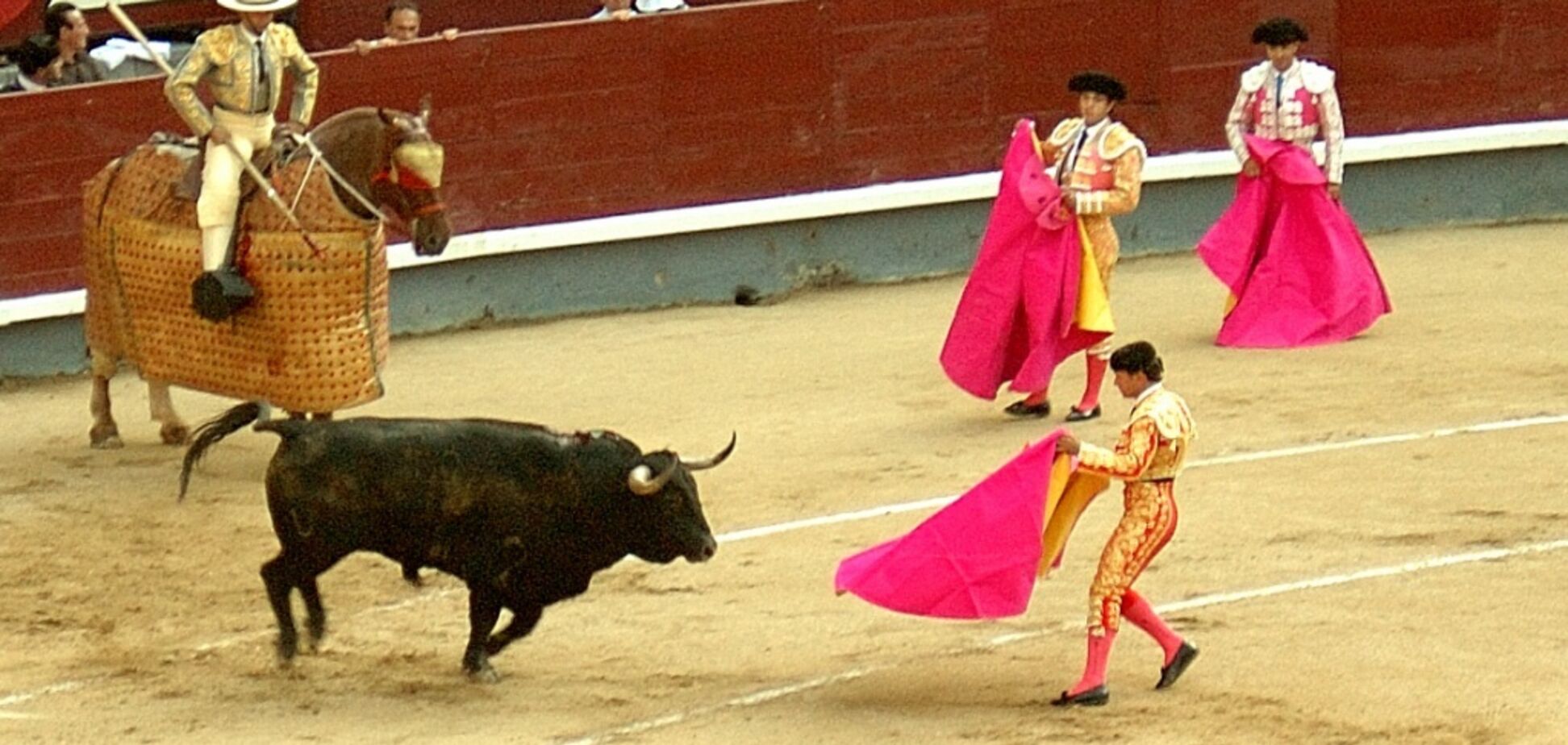 Во Франции бык атаковал зрителей корриды: много пострадавших