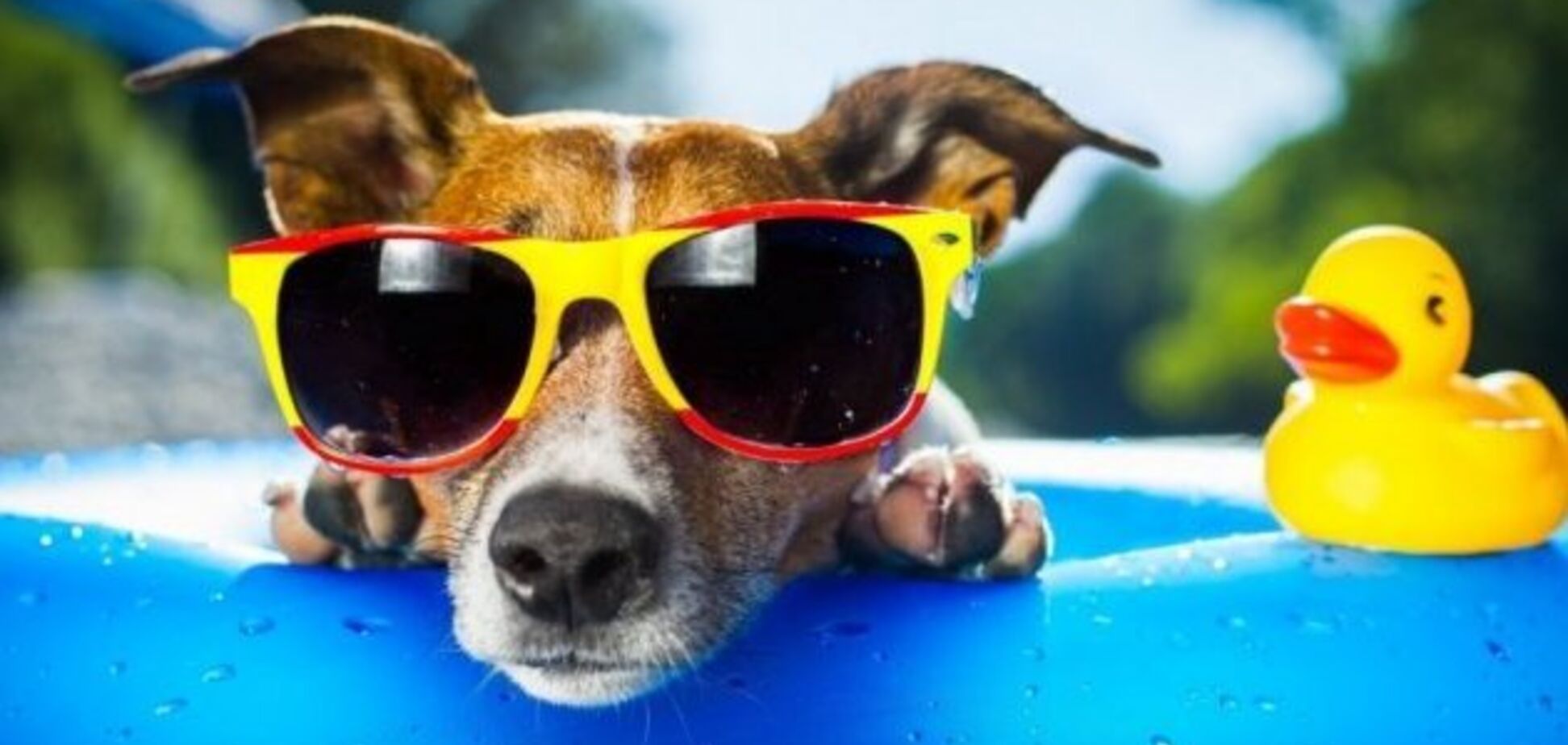 До +25! Синоптик дала спекотний прогноз погоди в Україні