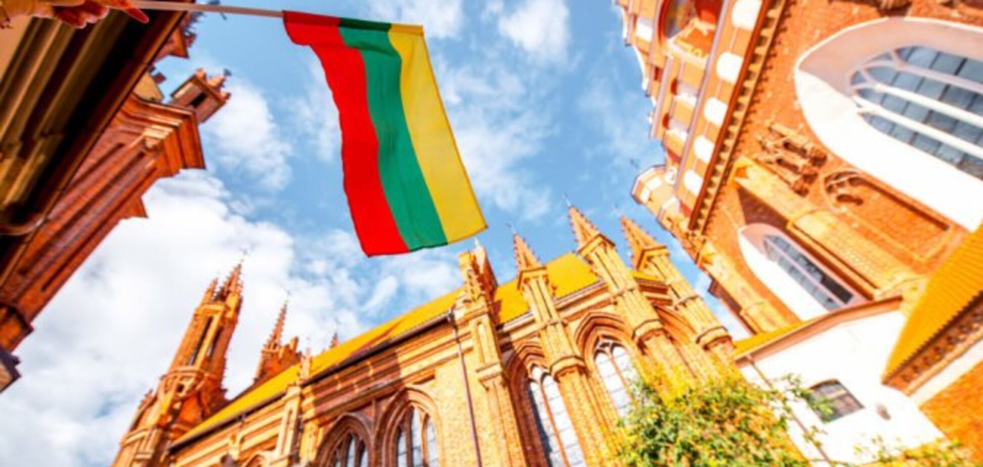 Кто заменит Грибаускайте: появились результаты выборов в Литве